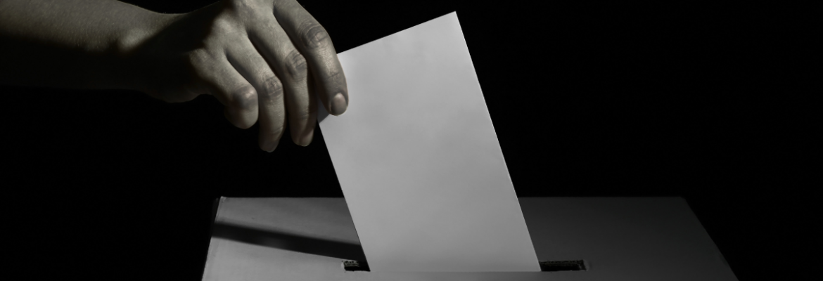election vote